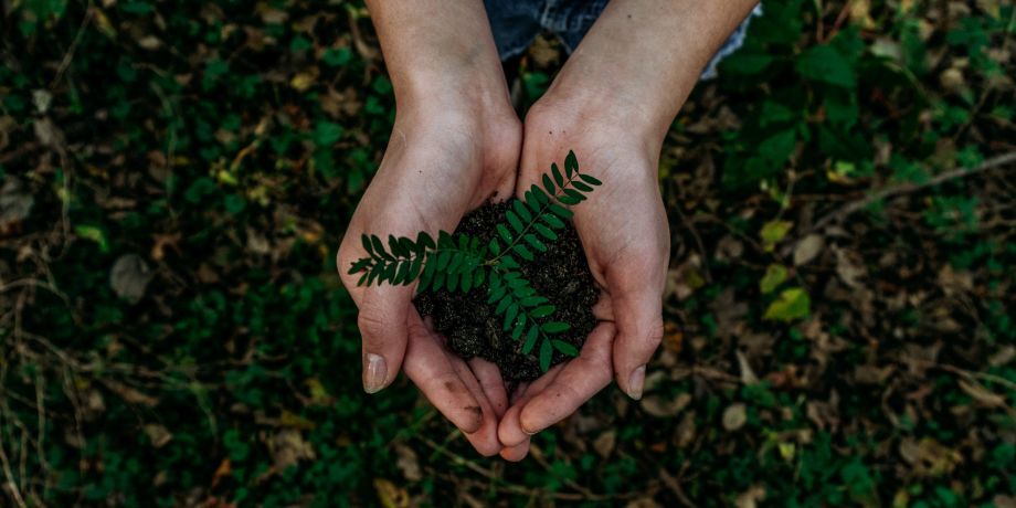 La finance durable sauvera-t-elle la planète des changements climatiques ?